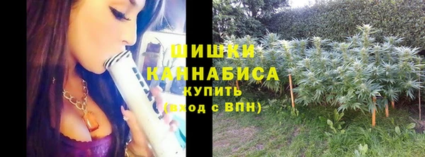 прущие крисы Медвежьегорск