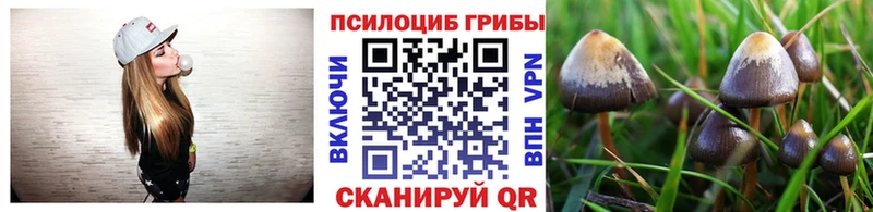 закладка  Нижняя Салда  Галлюциногенные грибы MAGIC MUSHROOMS 